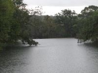 20100206 573.JPG
